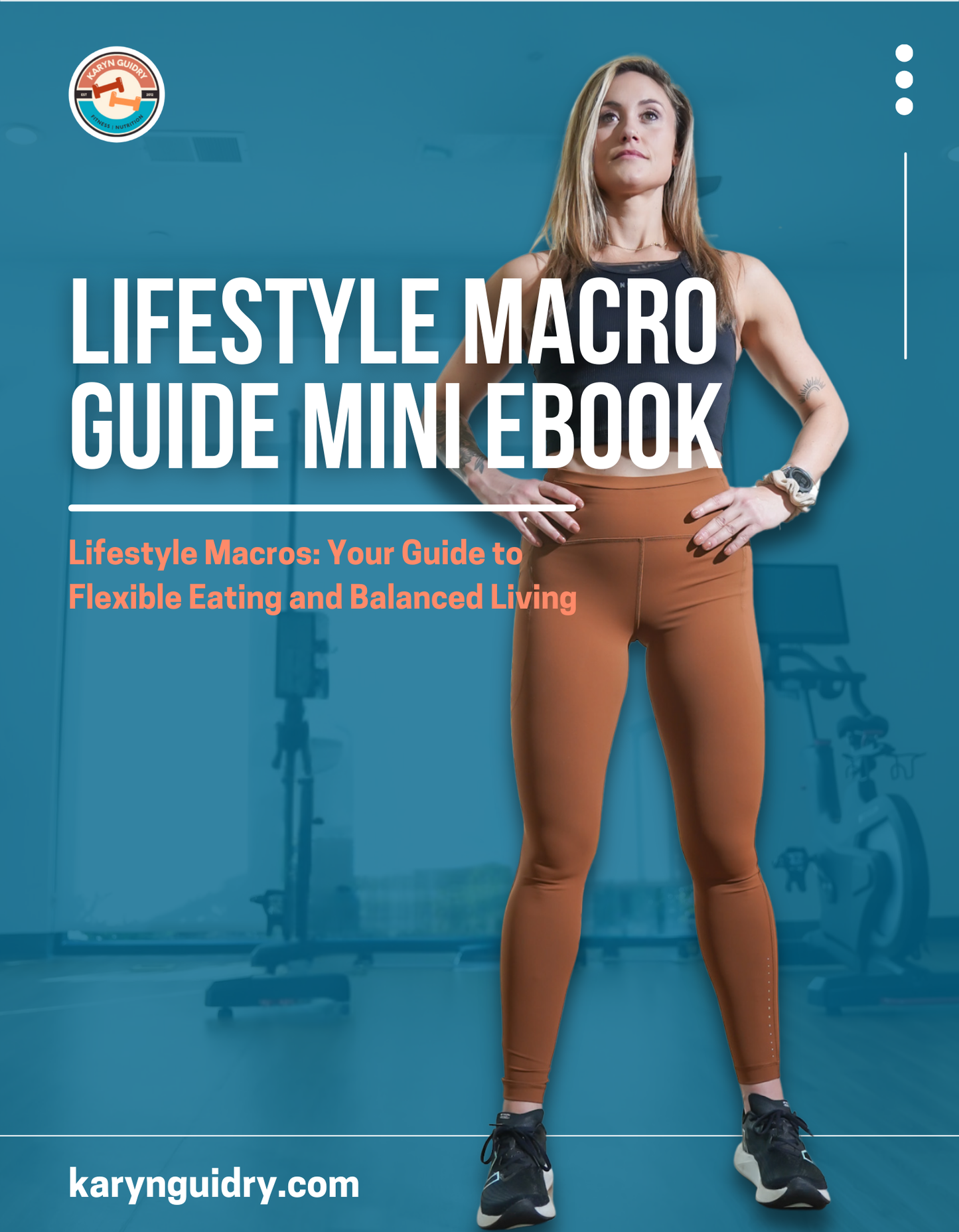 The Lifestyle Macro Guide Mini Ebook